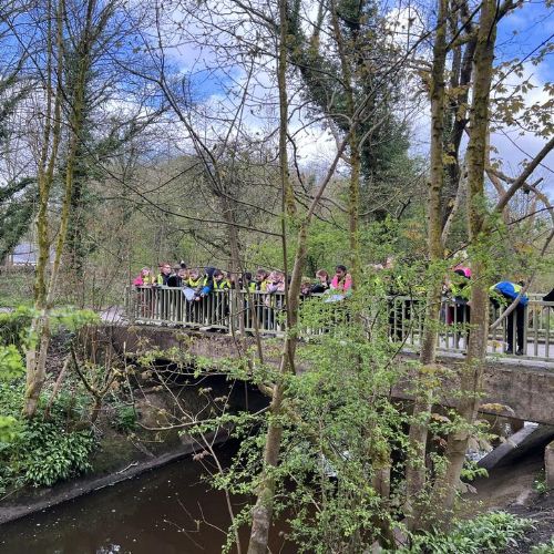 Local Fieldwork Study to the River Tawd - Summer 2024