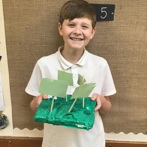 Our finished biomes