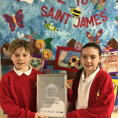 Our Platinum School Games Award