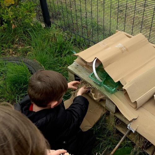 We have been learning about how to care for the animals in our environment.