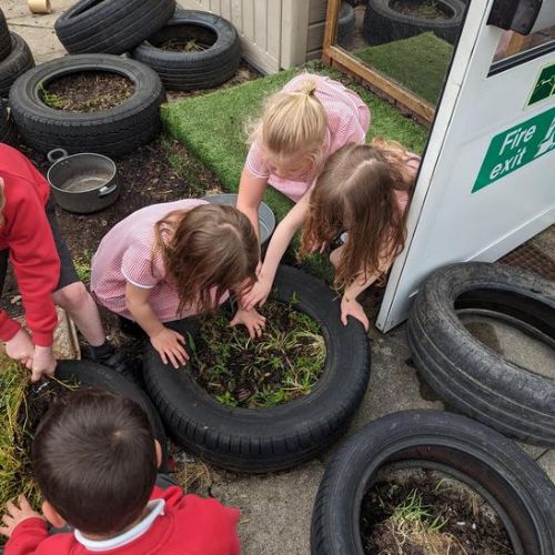 This week the children wanted to help to look after our outdoor environment.