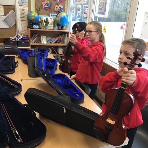 Violins