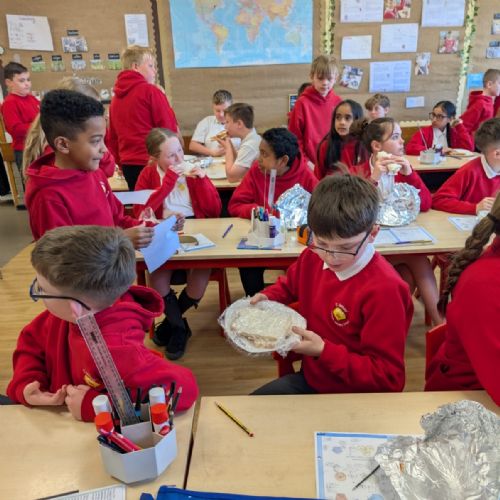 Y6 Taste Testers