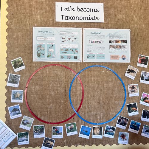 Living things and their habitats