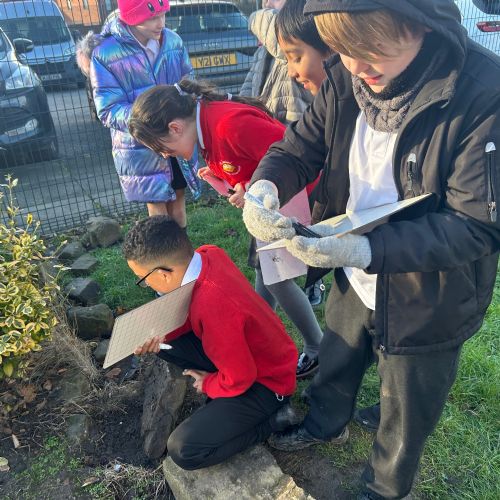 Local wildlife survey