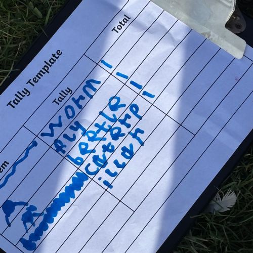 Data handling: Introduction to data