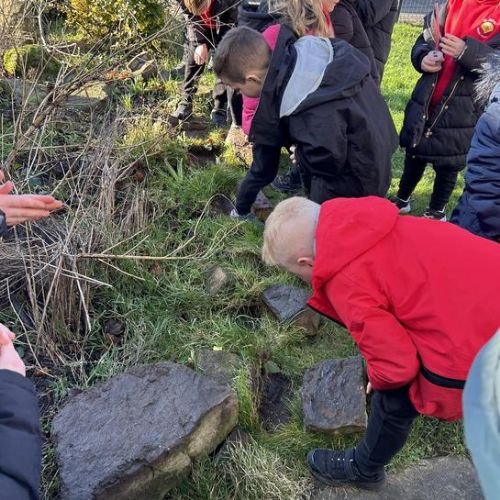 Woodlice Chamber