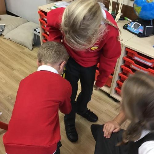 Can the person with the longest femur jump the furthest?