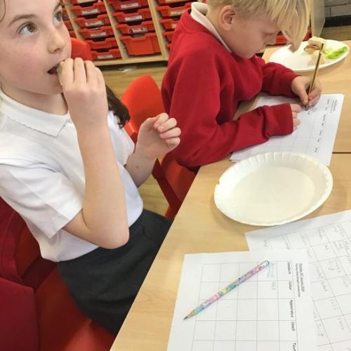 317fbd67-cd1b-46ed-a8f4-7c61b27e83121x1